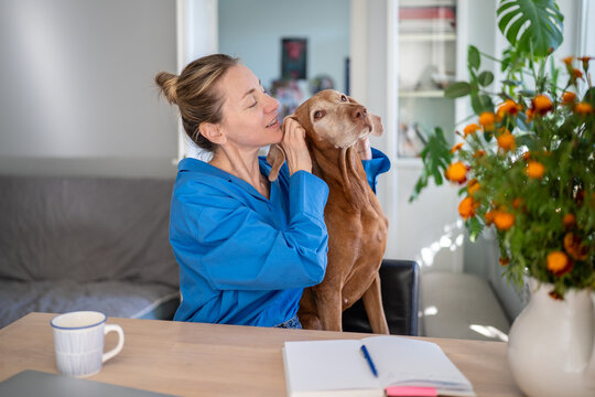 Mischief domestic dog demanding attention from owner and distracts woman from work routine; positive female sitting at desk playing, chatting and scratching dog ears while taking break from tasks.