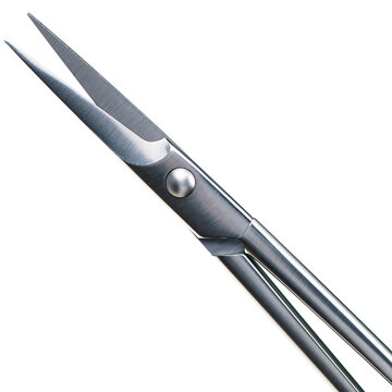 Macro closeup of stainless steel grooming scissors blade isolated on transparent background for beauty and medical tool concepts resolution shot professional blades hinge screw clear