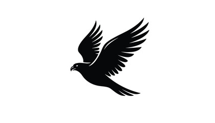 Obraz premium Flying bird of prey silhouette showing a majestic eagle or hawk soaring with spread wings isolated on a white background.