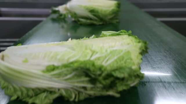 배추세척 세척 김치 김장 배추공장 배추손질 물세척 물 김치가공 손질 공장 공정 작업 생산 가공 원료 식재료 절임배추 제조 한국음식 식품공장