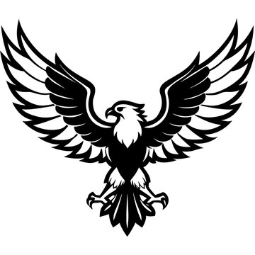 eagle vector illustration