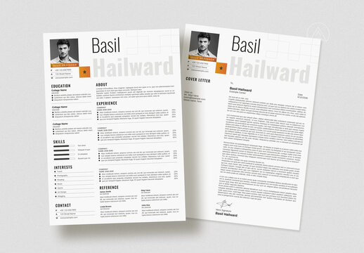 Modern Professional Resume Template Layout