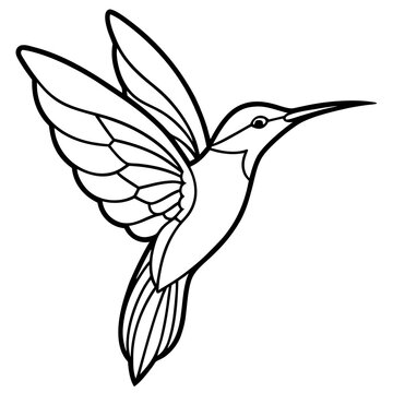 hummingbird and flower