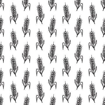 Seamless pattern with hand drawn cereal wheat oat rye barley rice ears spikelet Organic healthy food For decorative print, fabric, package, background