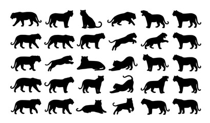 Obraz premium Black Tiger Silhouette Collection – Wild Tiger Animal Vector Illustration Set