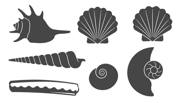 Silhouette collection of various ocean seashells, clams, scallops, and spiral snail shells on a white canvas.