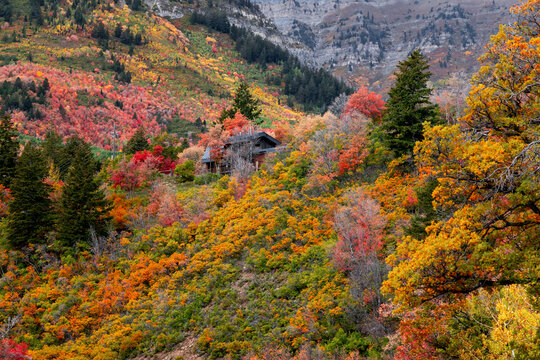 Mountain cabin nestled among colorful autumn foliage