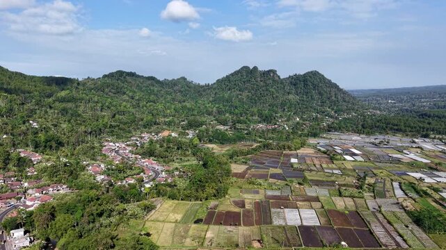Drone panorama of terraced rice paddies, village at Pronojiwo, East Java, Indonesia