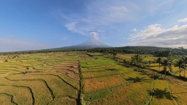 Drone aerial fisheye panorama of Mount Semeru with terraced rice fields and volcanic plume.