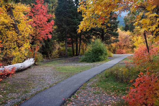 Autumn park path winding through colorful fall foliage