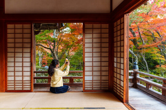 Back view of female tourist sitting on tatami floor, taking photo of beautiful autumn garden with smartphone at a traditional Japanese temple in Kyoto