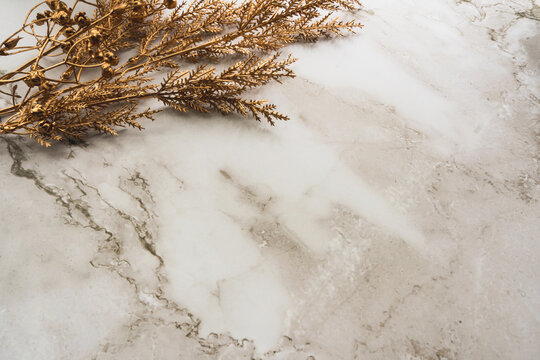 A gilded gold branch with berries rests on an elegant marble background, offering luxurious copy space.