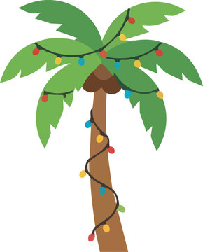 Tropical Palm Tree Decorated with Christmas Lights