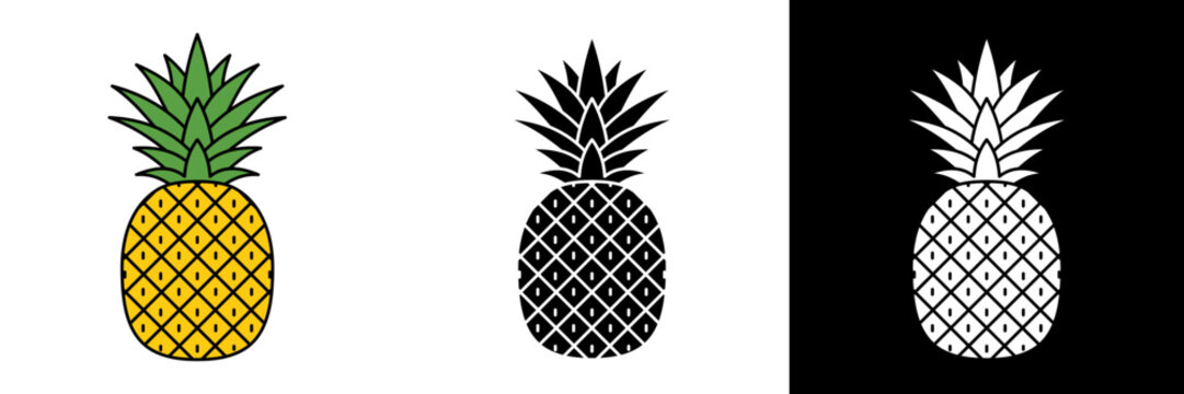 Pineapple fruit icon set in various styles.