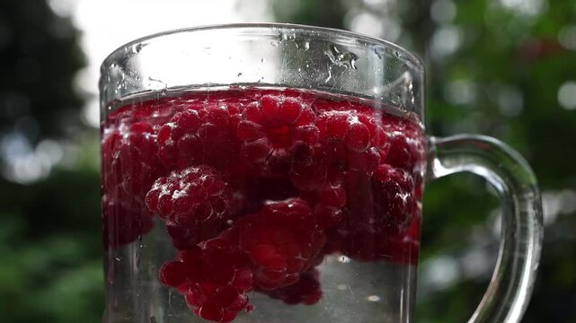 Fresh raspberries floating in clear water inside a glass mug, with soft outdoor greenery in the background. Refreshing summer drink and healthy berry beverage concept.
