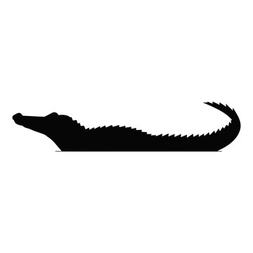 Crocodile silhouette vector icon, black alligator profile floating in water, predatory reptile swimming shape for logo design and wildlife branding