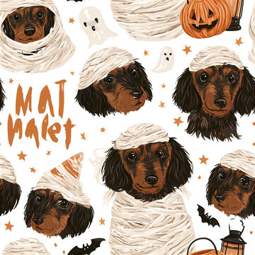 Playful dachshund puppy faces wrapped in cute mummy bandages with Halloween pumpkin, ghost, and bat decorations