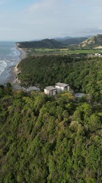 video vertical con drone de una playa con bosque y edificios de fondo
