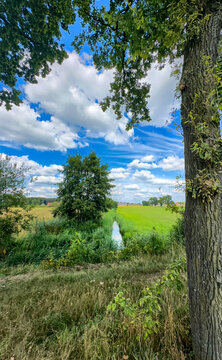 tree trunk framing pastoral stream and grassy meadow under wide blue sky, contemplative nature lookout for landscape study,