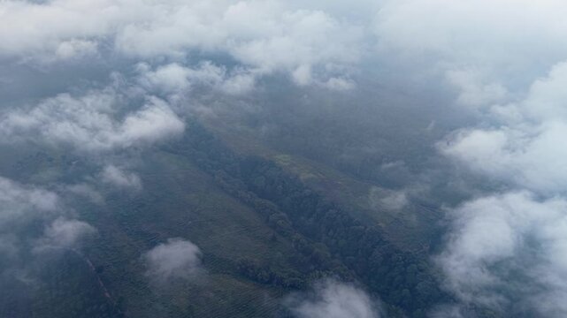 Floating clouds drift above a misty, green mountain range. The landscape appears serene at Wonosari Tea Plantation