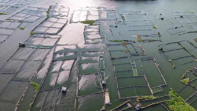 Drone aerial of structured fishpond cages and waterways on Waduk Karangkates reservoir at golden light