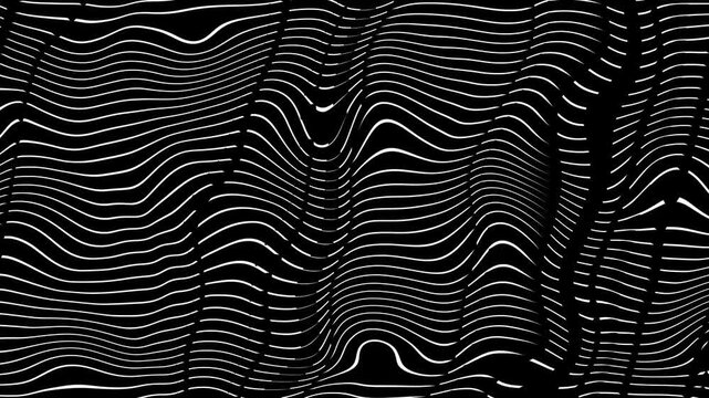 Abstract wavy lines forming optical illusion-like flowing pattern with high contrast and rhythmic curves animation