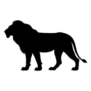 lion silhouette vector