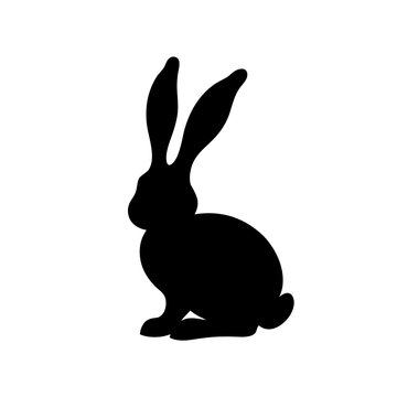 vector illustration of a rabbit