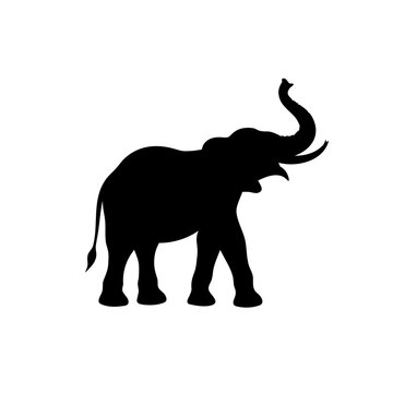 elephant silhouette vector