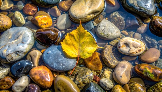 Hoja amarilla de oto&ntilde;o sobre piedras mojadas de colores en una orilla