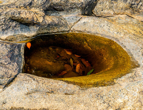 Water-Filled Rock Pool in Tropical Jungle Stream