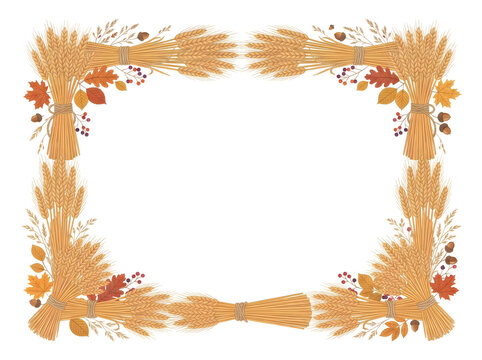 Rectangular frame made of golden wheat stalks, dried autumn leaves, acorns, and small dark berries on a clean white background, for harvest