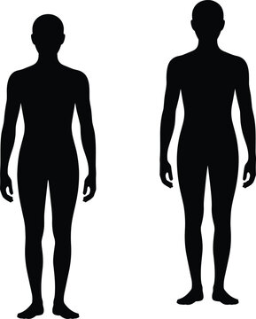 Two full body human silhouettes of a man and a woman, standing side by side, solid black figures isolated on a white background, for gender or, human themes
