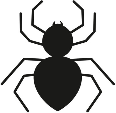 spider