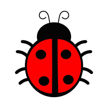 ladybird vector illustration