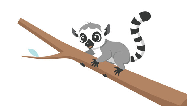 Cute ring tailed lemur with a striped tail sits on a tree branch looking curiously at the camera in its natural forest habitat.