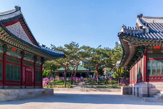 Traditional Korean Architecture and Historic Buildings with Colorful Dancheong at Deoksugung Palace in Spring