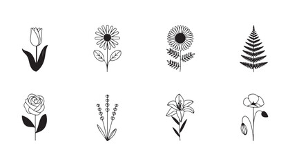 Fototapeta premium Elegant black floral silhouettes for decorative design elements and artistic embellishments.