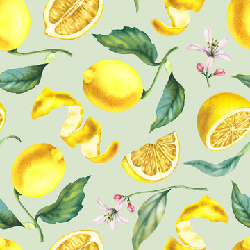 Lemon branch with leaves and flowers seamless pattern on a green background. Botanical illustration hand-drawn in watercolor. Tropical citrus fruits, juicy bright fruits for decorating postcard