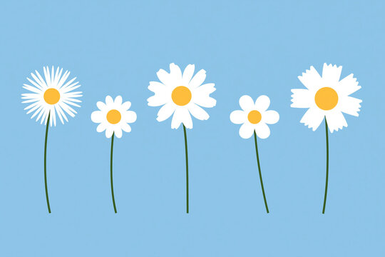 A collection of cute hand drawn white daisies with green stems arranged in a row against a light blue background.