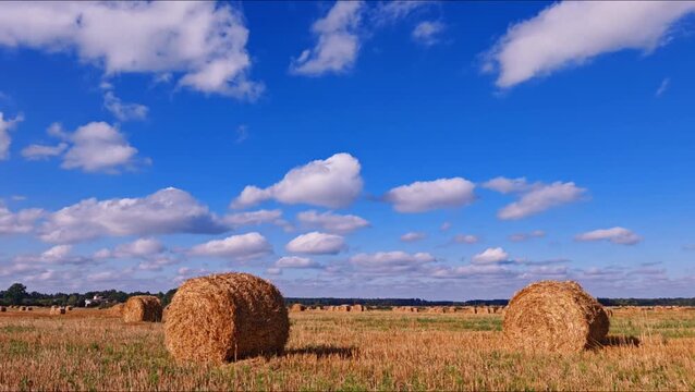 Hay Bales in Field Under Cloudy Blue Sky. Round hay bales scattered across a harvested field under bright blue sky with white clouds. Autumn rural scene.