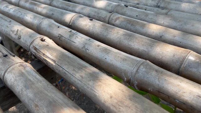 High angle view of dry bamboo poles with strong shadow patterns