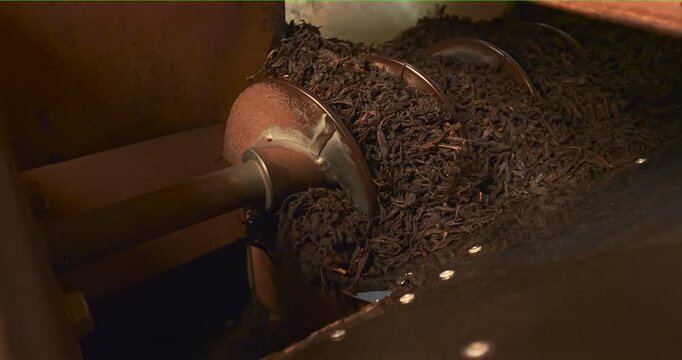 Dried tea fills a metal hopper around a rotating cylinder and feed mechanism with dark leaf particles shifting as the factory machine receives the processed material in a fixed view