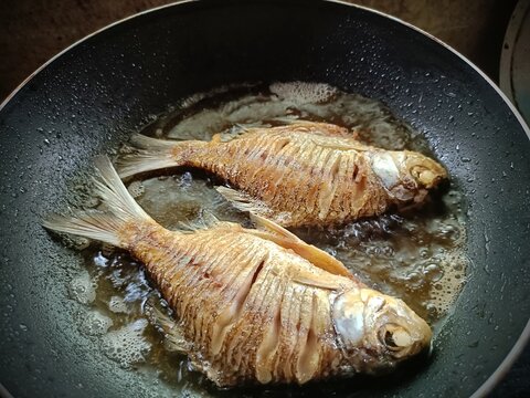 Fried fish in a hot pan. When cooking freshwater fish, you have to fry it until crispy. The fish will be crispy on the outside, soft on the inside, and have a delicious yellow color.