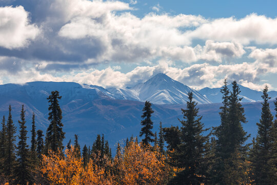 Alaska Denali National Park mountains autumn trees landscape