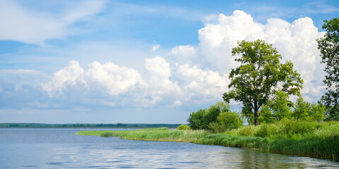 Obraz premium Scenic summer landscape with calm lake, green shoreline, trees and blue sky with clouds, peaceful nature background