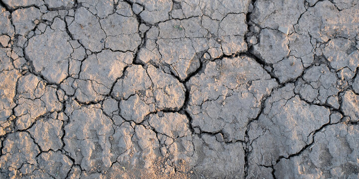 Cracked dry soil showing severe moisture loss, drought conditions and land degradation caused by prolonged lack of rainfall