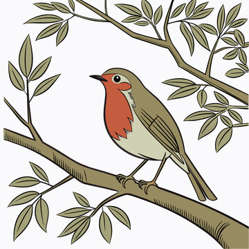 robin on a branch