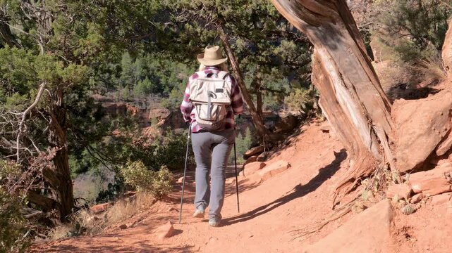 Female hiker wearing backpack and hat walking on a narrow dusty trail through scenic red rock canyon in utah zion national park. Hiker using trekking poles to navigate rugged terrain on track