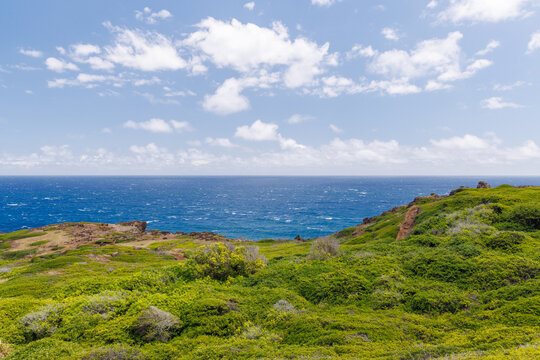 Sunny Hawaiian landscape with ocean and hills